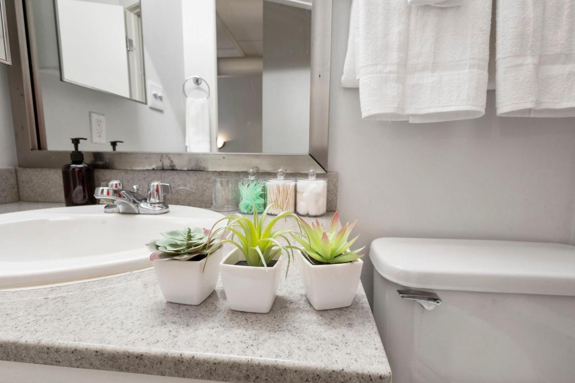 Apartament Indy Loft - Monument Circle - Sleeps 7 - Convention Walkable Indianapolis Zewnętrze zdjęcie
